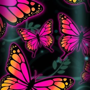 Meet your Posher, Sylvia